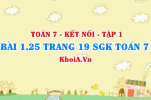 Bài 1.25 trang 19 SGK Toán 7 tập 1 Kết nối tri thức